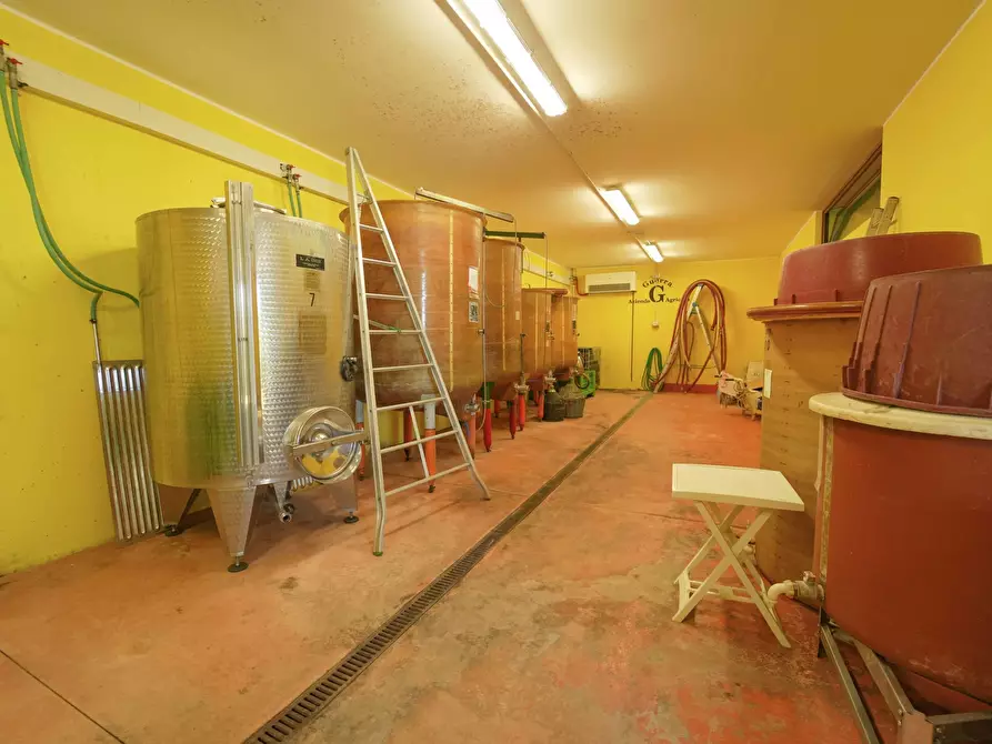 Immagine 23 di Casa indipendente in vendita  in Via Roma 14A a Borghi