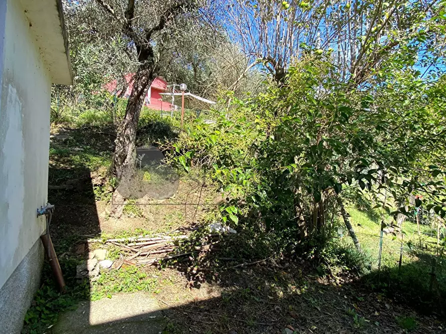 Immagine 21 di Porzione di casa in vendita  in via pegui 1 a Calice Al Cornoviglio
