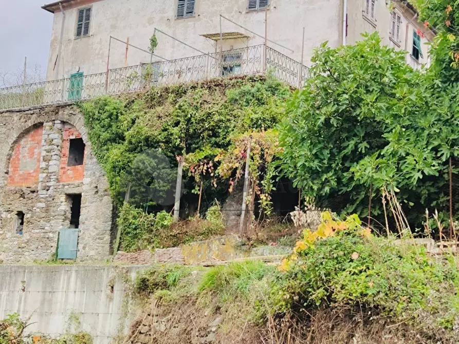 Immagine 38 di Rustico / casale in vendita  in Loc. Le Cassonare snc a Calice Al Cornoviglio