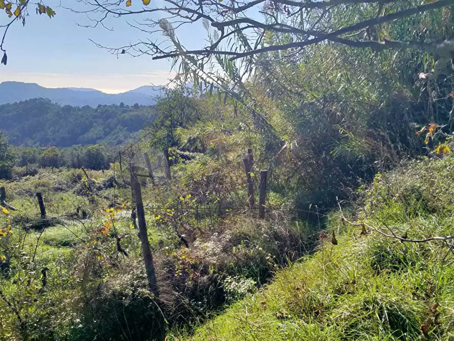 Immagine 7 di Porzione di casa in vendita  in Via Volpara 9 a Sarzana