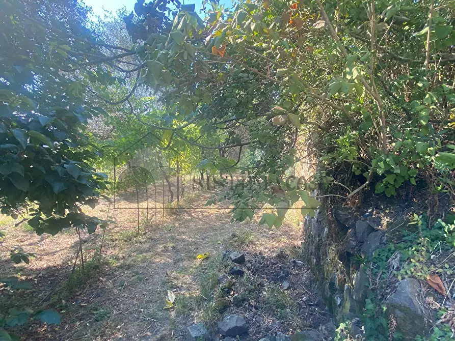 Immagine 42 di Casa indipendente in vendita  a Follo