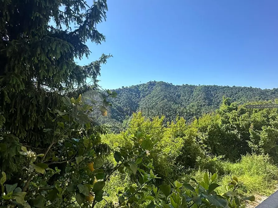 Immagine 20 di Casa indipendente in vendita  in Via San Lorenzo 20 a Follo