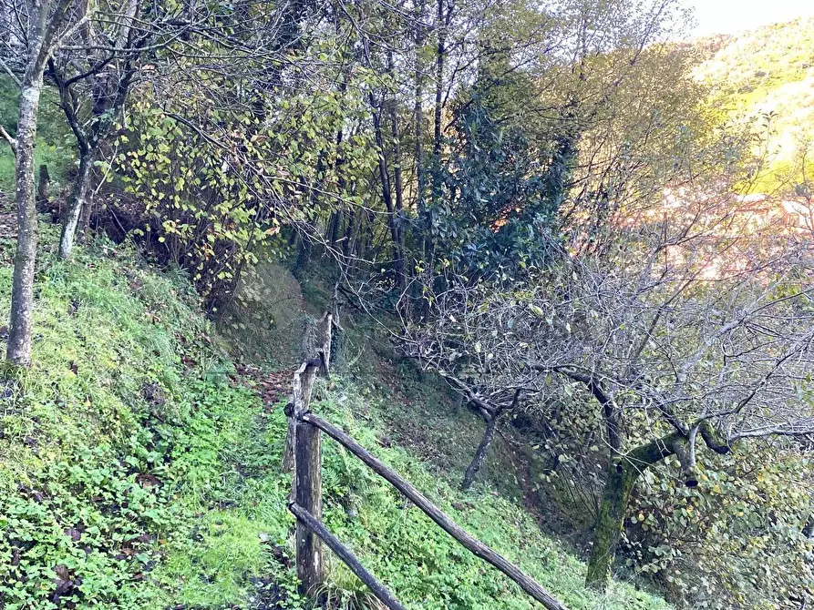 Immagine 54 di Casa indipendente in vendita  in Via Noceto 6 a Ortonovo