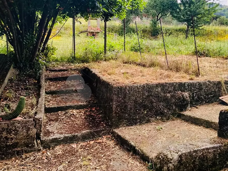 Immagine 2 di Casa bifamiliare in vendita  a Sarzana