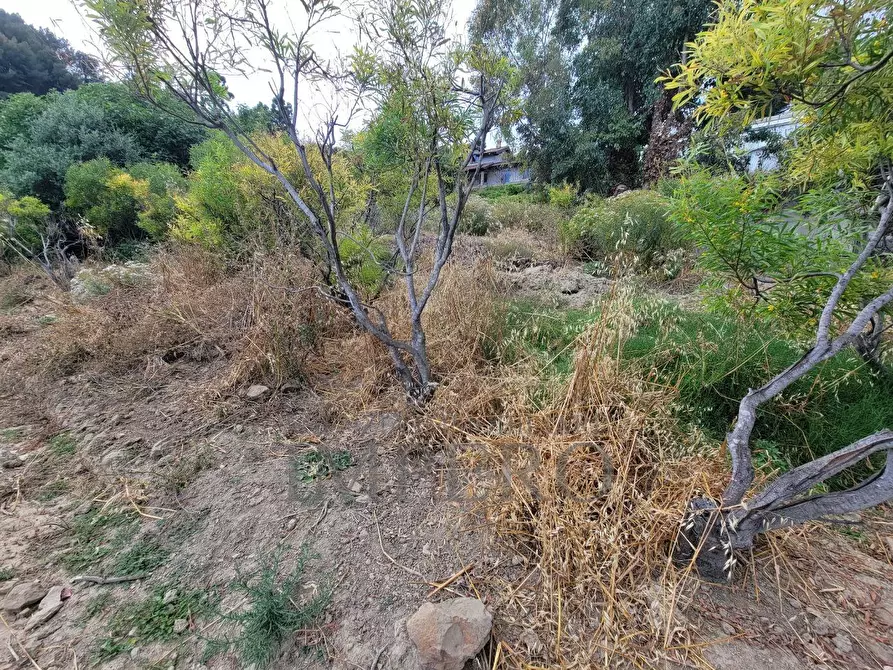 Immagine 19 di Terreno agricolo in vendita  in Via delle Otto Case 1 a Ventimiglia