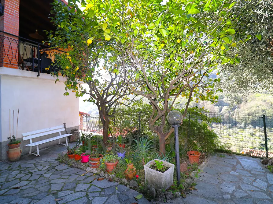 Immagine 32 di Porzione di casa in vendita  in Via San Anfosso Ten. 18 a Ventimiglia
