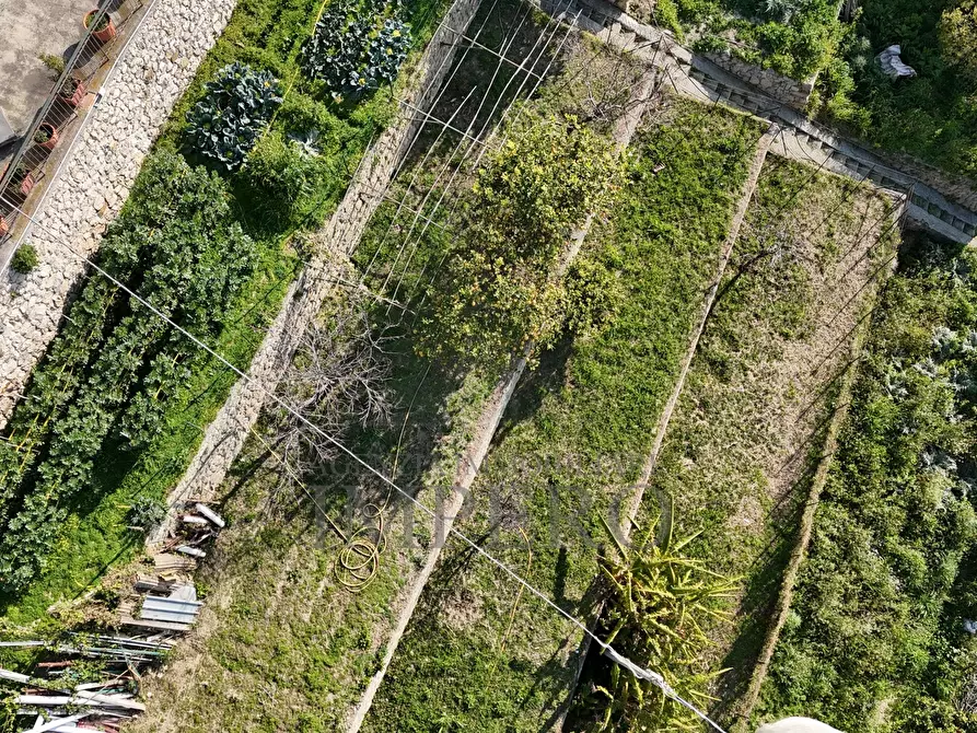 Immagine 8 di Porzione di casa in vendita  in Corso A. Toscanini 15 a Ventimiglia