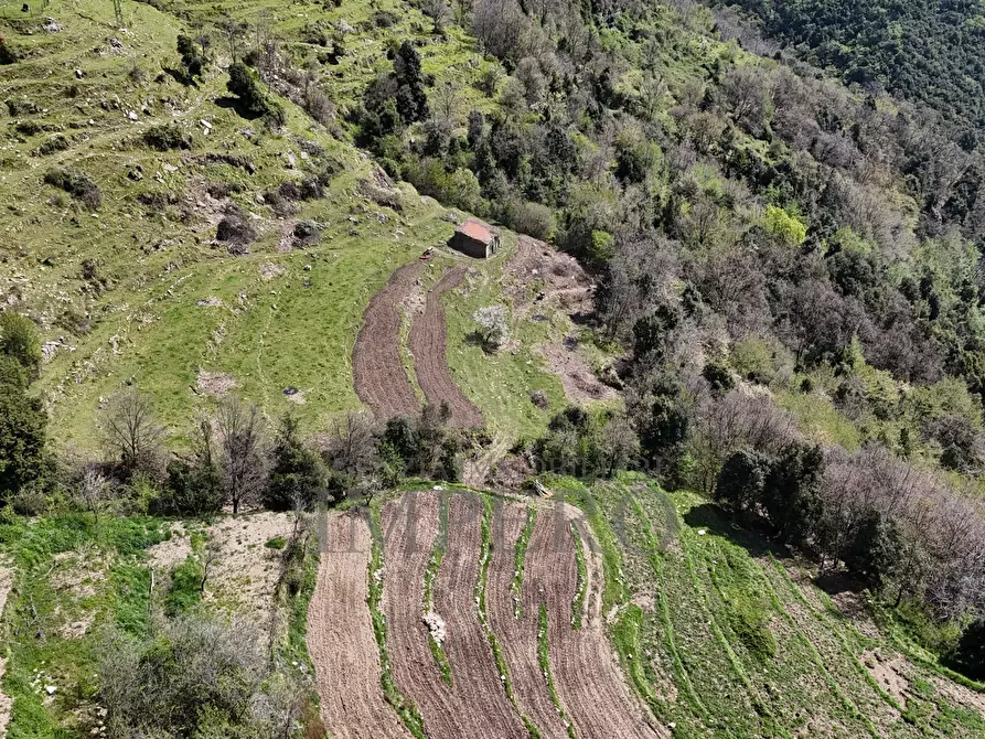 Immagine 41 di Casa indipendente in vendita  in Strada Provinciale 65 65 a Castel Vittorio