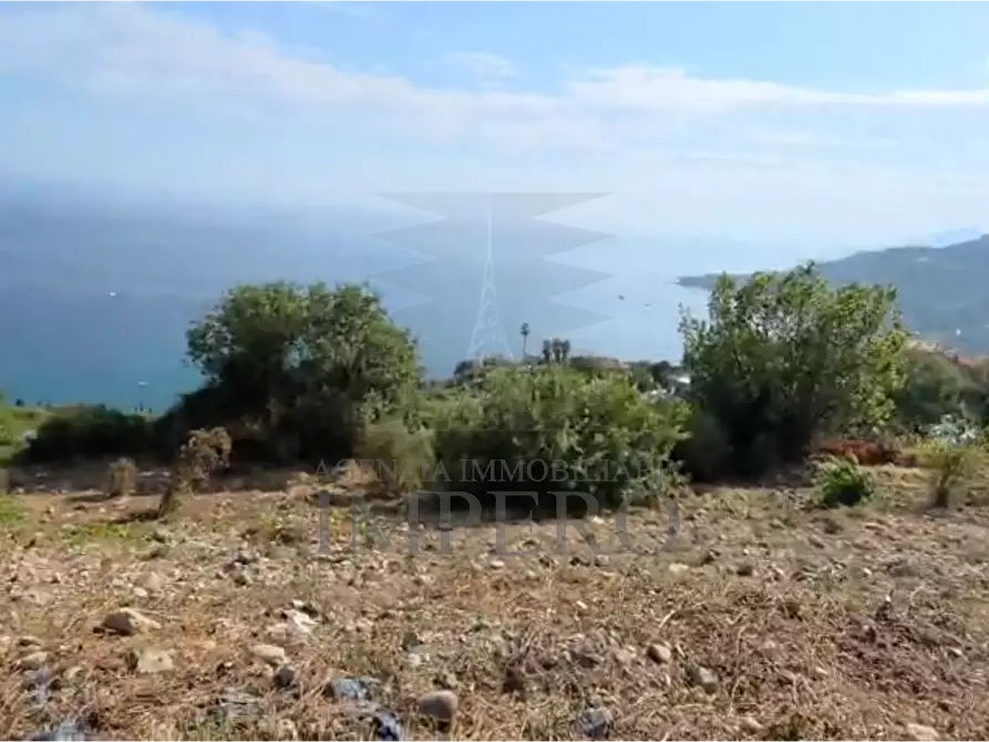 Immagine 6 di Terreno agricolo in vendita  in Località Ville Superiori 30 a Ventimiglia