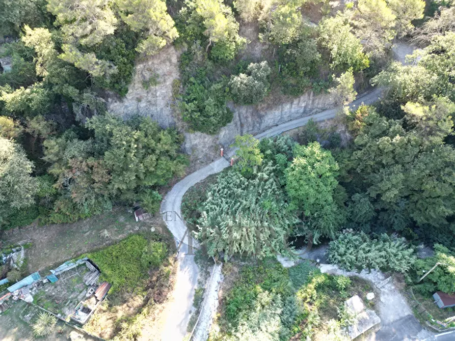 Immagine 14 di Terreno agricolo in vendita  in via provinciale 44 a San Biagio Della Cima