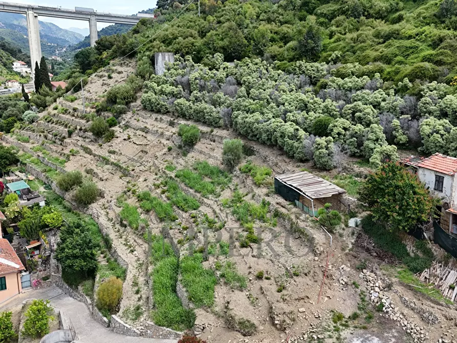 Immagine 25 di Terreno agricolo in vendita  in Via Anacleto Hughes 22/A a Ventimiglia