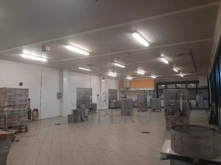 Immagine 4 di Attività artigianale in vendita  in Via Braie a Camporosso