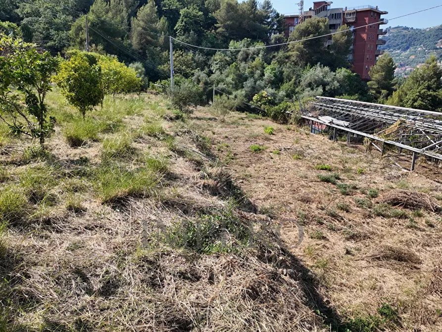 Immagine 22 di Terreno agricolo in vendita  in Corso Limone Piemonte a Ventimiglia
