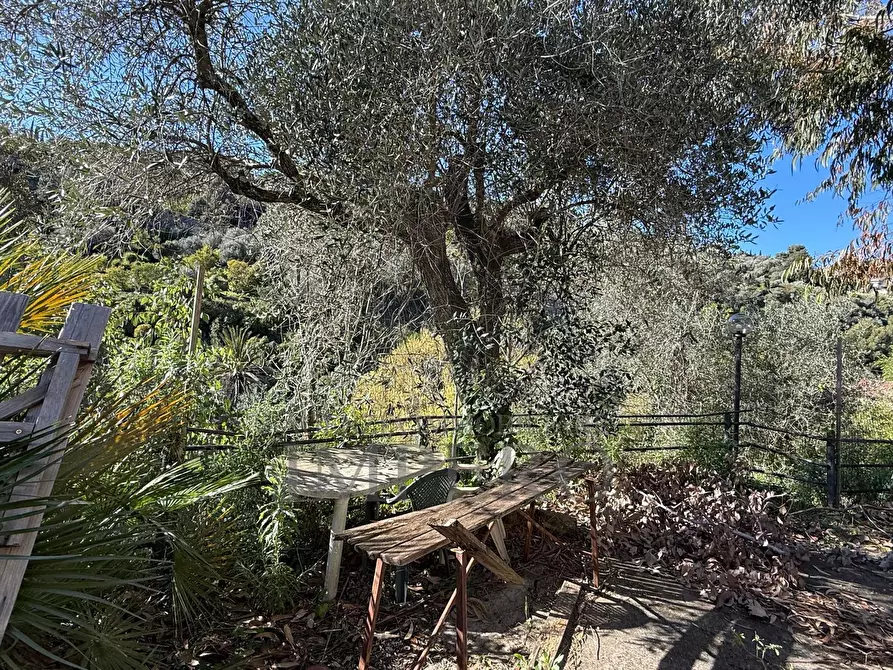 Immagine 19 di Casa indipendente in vendita  in Via Silvio Pellico a Bordighera