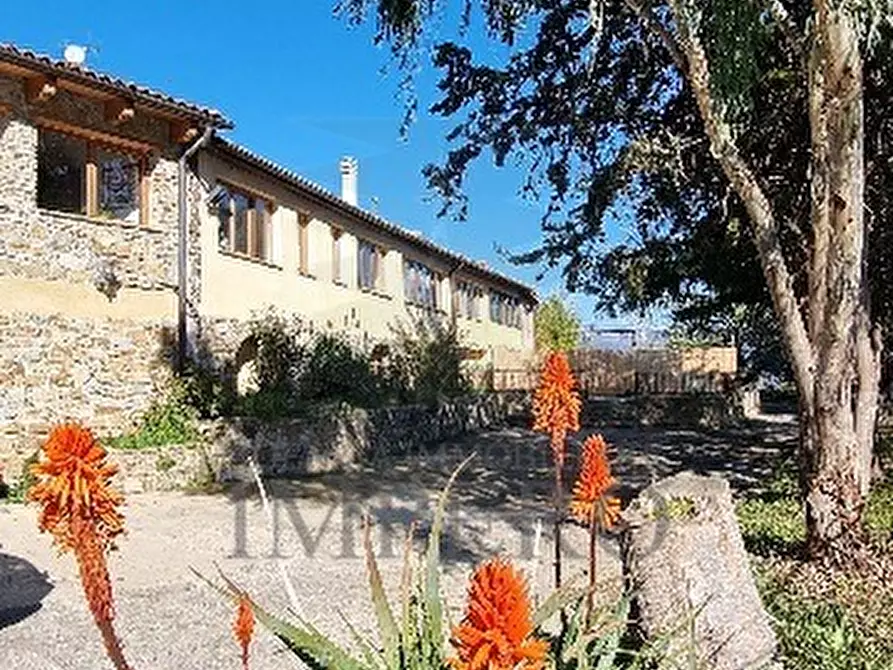 Immagine 18 di Villa in vendita  in Strada Provinciale a Dolceacqua