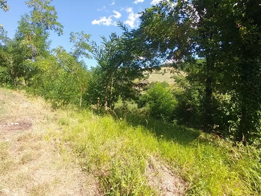 Immagine 54 di Rustico / casale in vendita  in mauro tesi 112 a Zocca