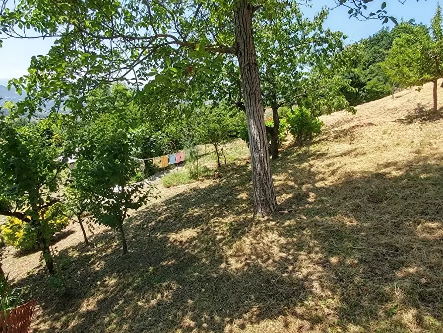 Immagine 39 di Rustico / casale in vendita  in Via Roma 31 a Zocca