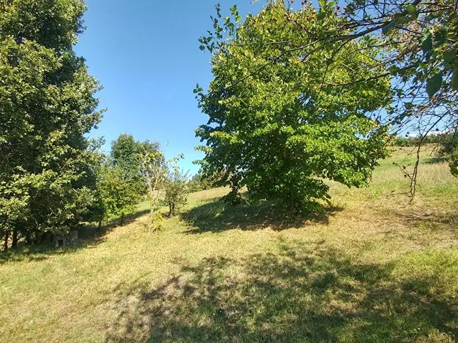 Immagine 17 di Rustico / casale in vendita  in via buzzeda a Guiglia