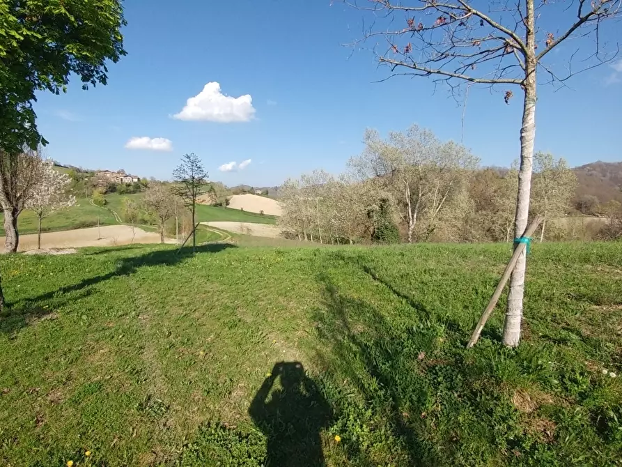 Immagine 45 di Rustico / casale in vendita  in via Canobbi 8 a Castel D'aiano