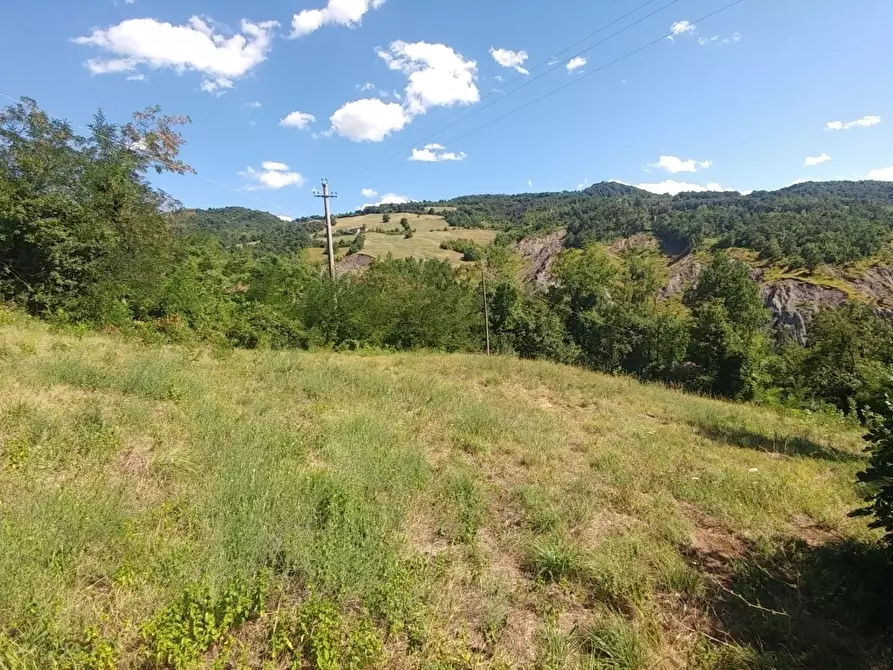 Immagine 11 di Rustico / casale in vendita  in mauro tesi 112 a Zocca