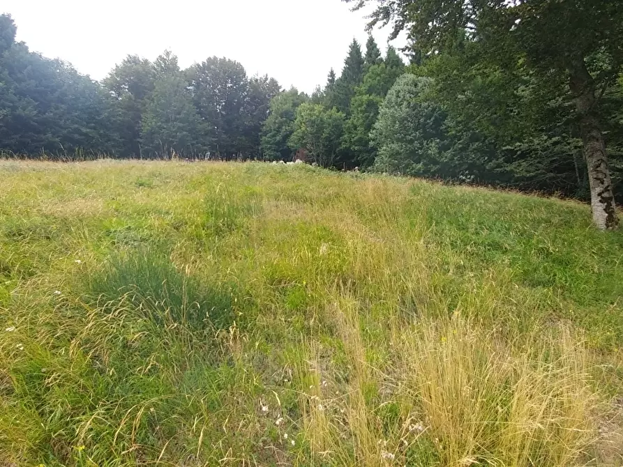 Immagine 35 di Rustico / casale in vendita  in Via Cà Zucchi 1294 a Fanano