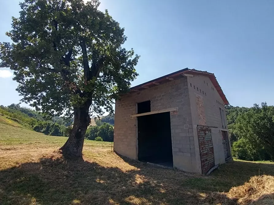 Immagine 18 di Rustico / casale in vendita  in Via Calizzano 803 a Zocca