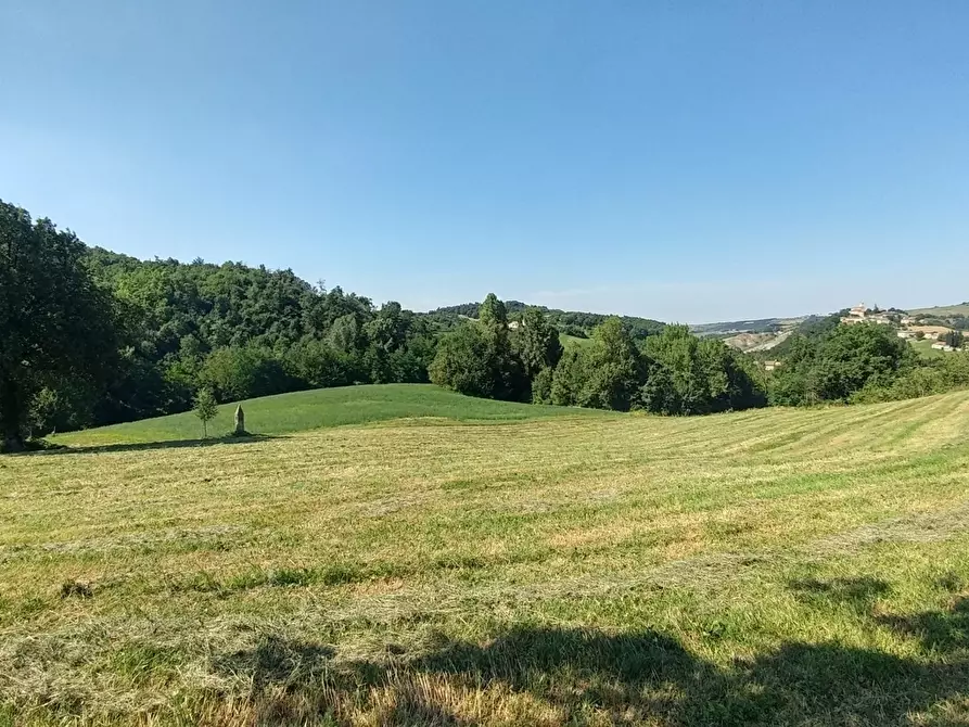 Immagine 21 di Rustico / casale in vendita  in Via Calizzano 803 a Zocca