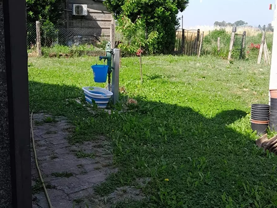 Immagine 5 di Casa indipendente in vendita  a Frassinelle Polesine