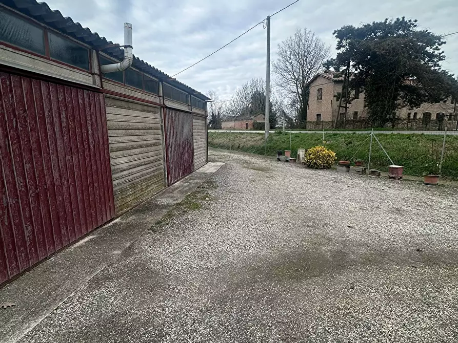 Immagine 12 di Casa bifamiliare in vendita  a Canaro
