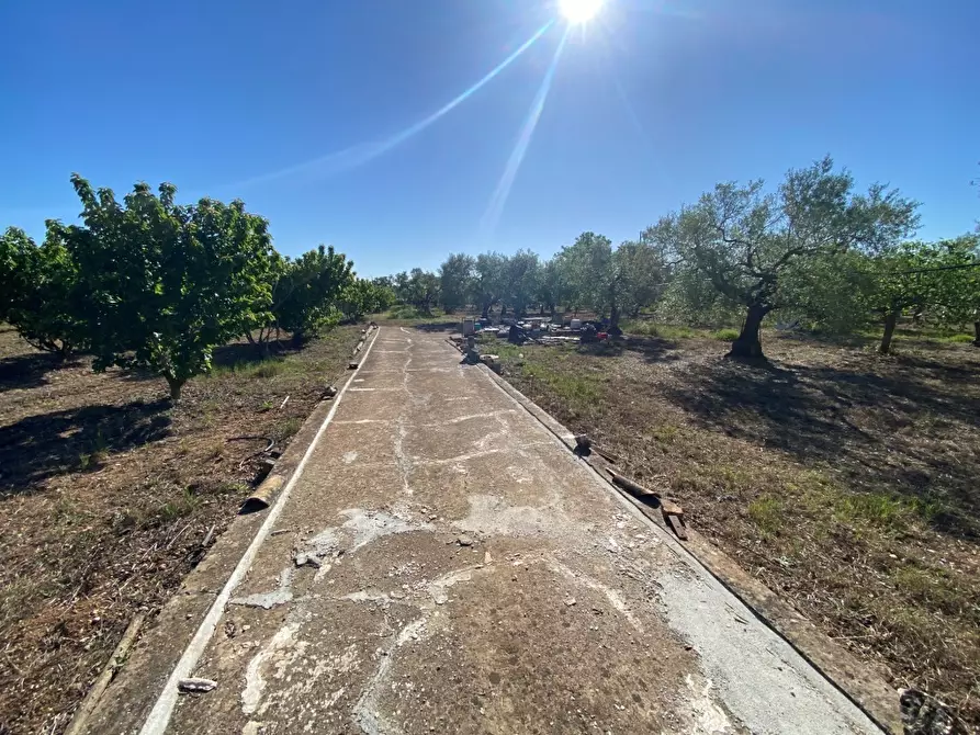 Immagine 1 di Terreno agricolo in vendita  in Via Vicinale Oronzino 5296 a Gioia Del Colle