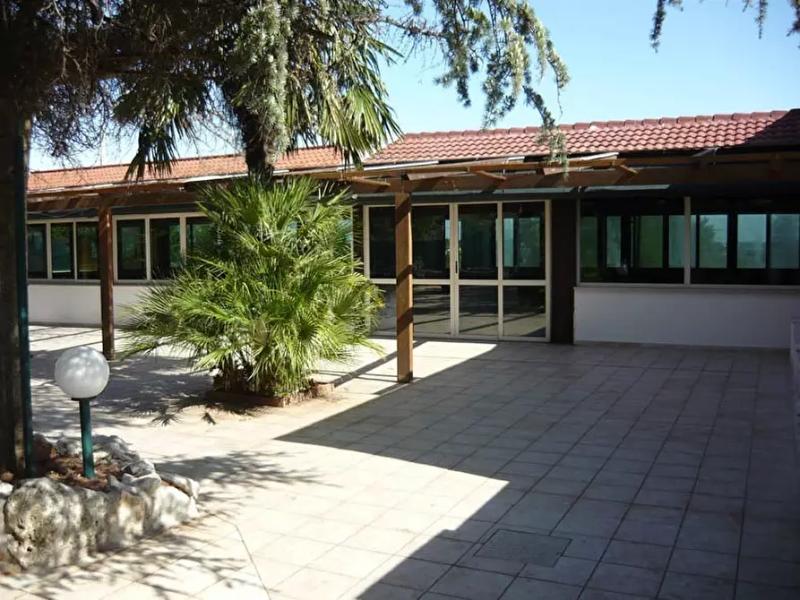 Immagine 4 di Bar / Ristorante in vendita  in C.da Casalini a Locorotondo