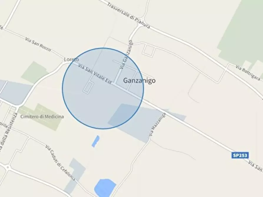 Immagine 4 di Garage in vendita  a Medicina