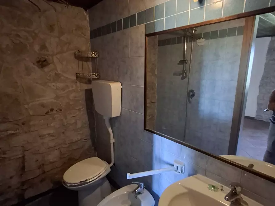 Immagine 15 di Trilocale in vendita  in Località Boscara a Maiolo