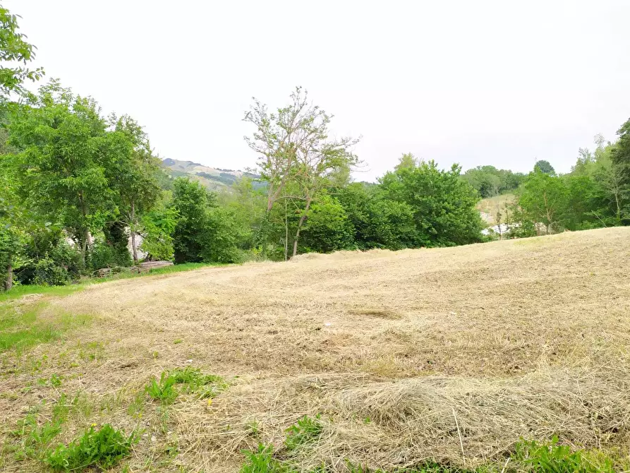 Immagine 40 di Rustico / casale in vendita  in SP258 2 a Pennabilli