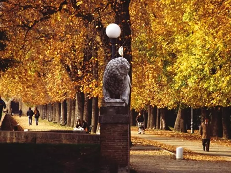 Immagine 2 di Bed & Breakfast in vendita  in Via Degli Angeli a Lucca