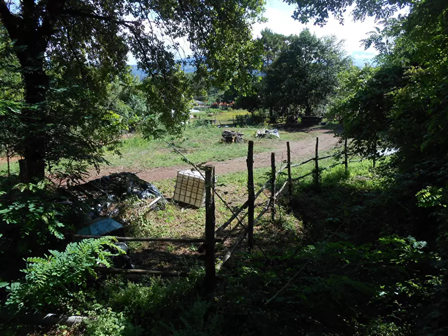 Immagine 10 di Terreno industriale in vendita  in Via Francesco Ferraris a Lucca