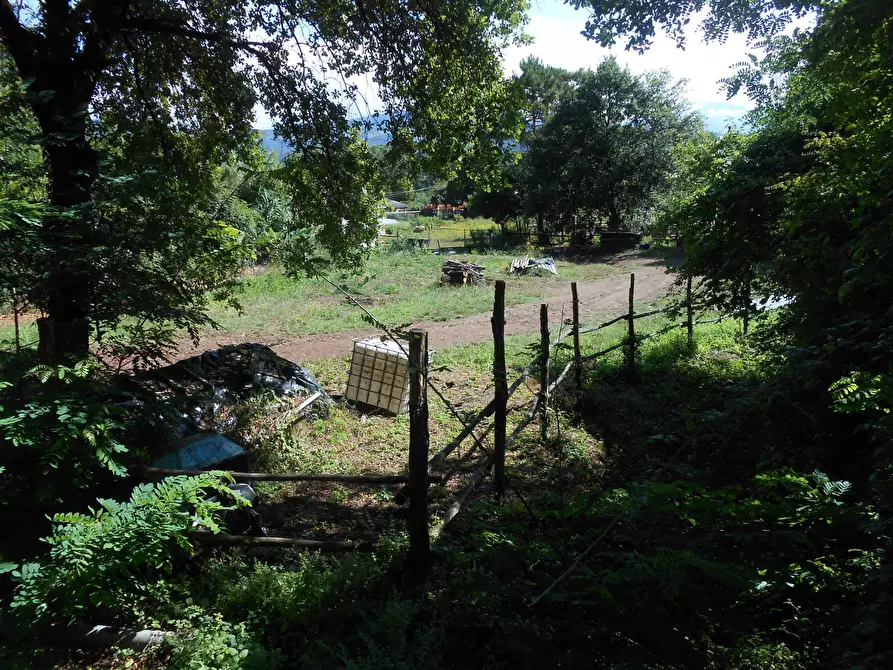 Immagine 10 di Villa in vendita  in Viale G. Puccini 1717 a Lucca