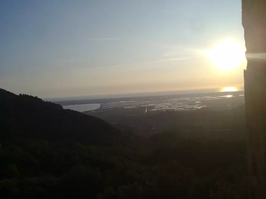 Immagine 17 di Terreno agricolo in vendita  in via di caroggia a Lucca