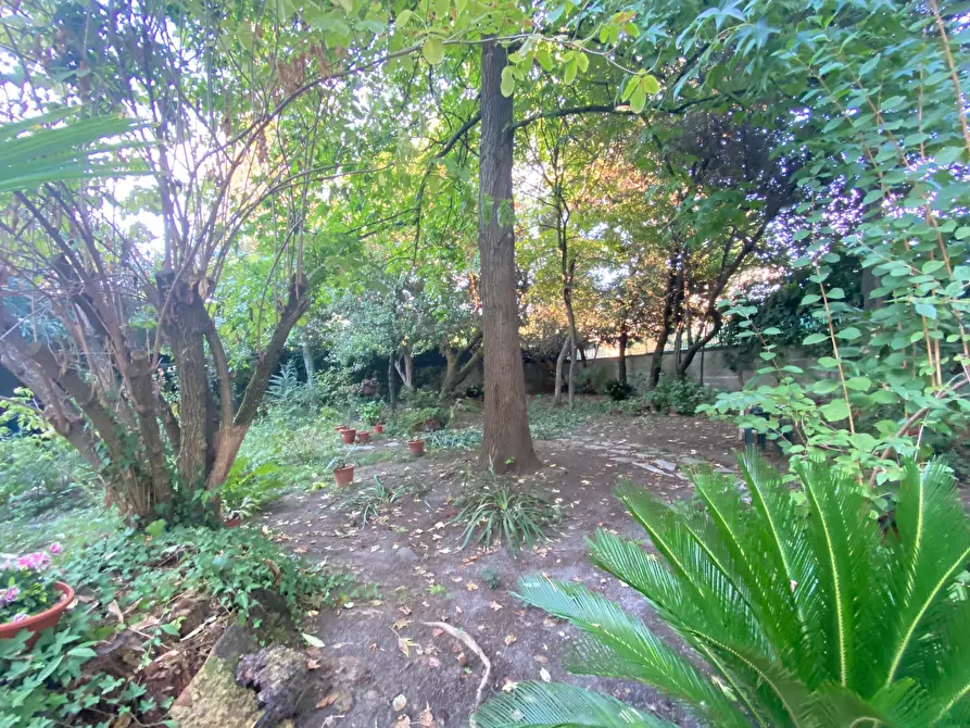 Immagine 11 di Villa in vendita  in Via Borgo Giannotti a Lucca