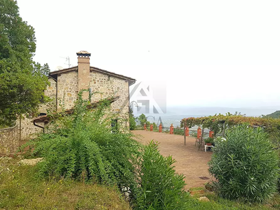 Immagine 35 di Rustico / casale in vendita  in di ronchi a Capannori