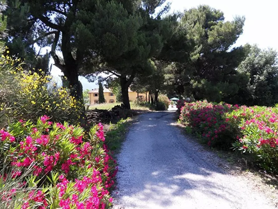 Immagine 32 di Rustico / casale in vendita  in Via per massaciuccoli a San Giuliano Terme