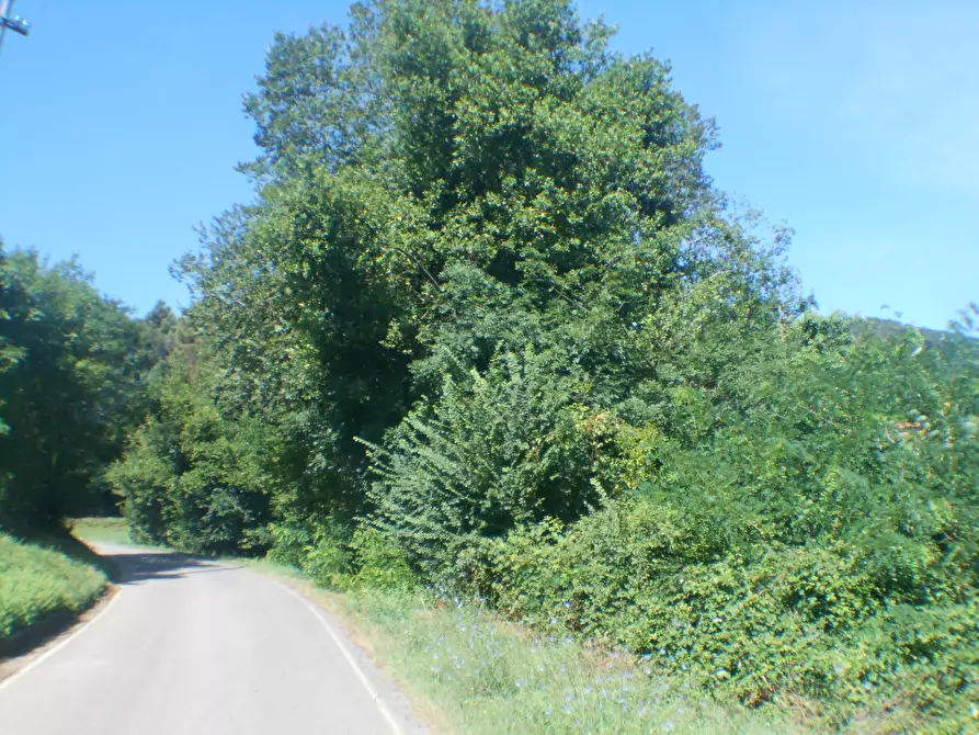 Immagine 13 di Terreno industriale in vendita  in Via Francesco Ferraris a Lucca