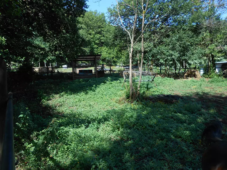 Immagine 6 di Terreno industriale in vendita  in Via Francesco Ferraris a Lucca