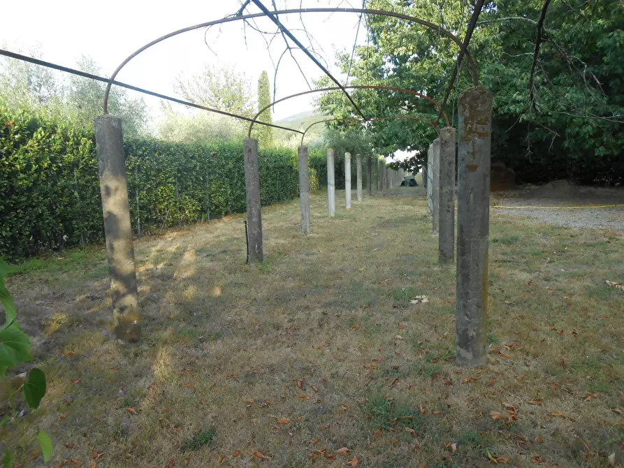 Immagine 5 di Villa in vendita  in Via Francesco Ferraris a Lucca