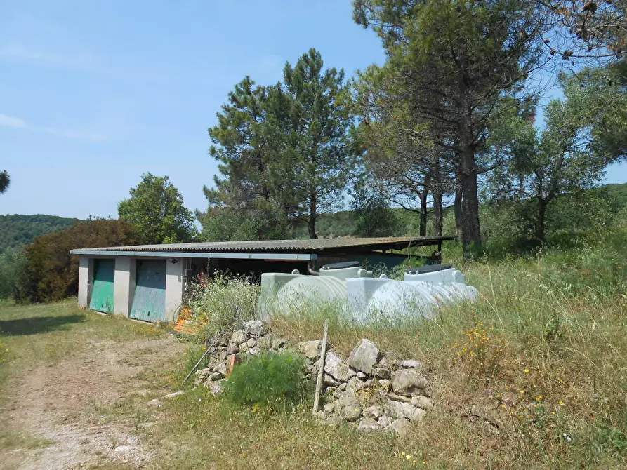 Immagine 14 di Rustico / casale in vendita  in Via per massaciuccoli a San Giuliano Terme