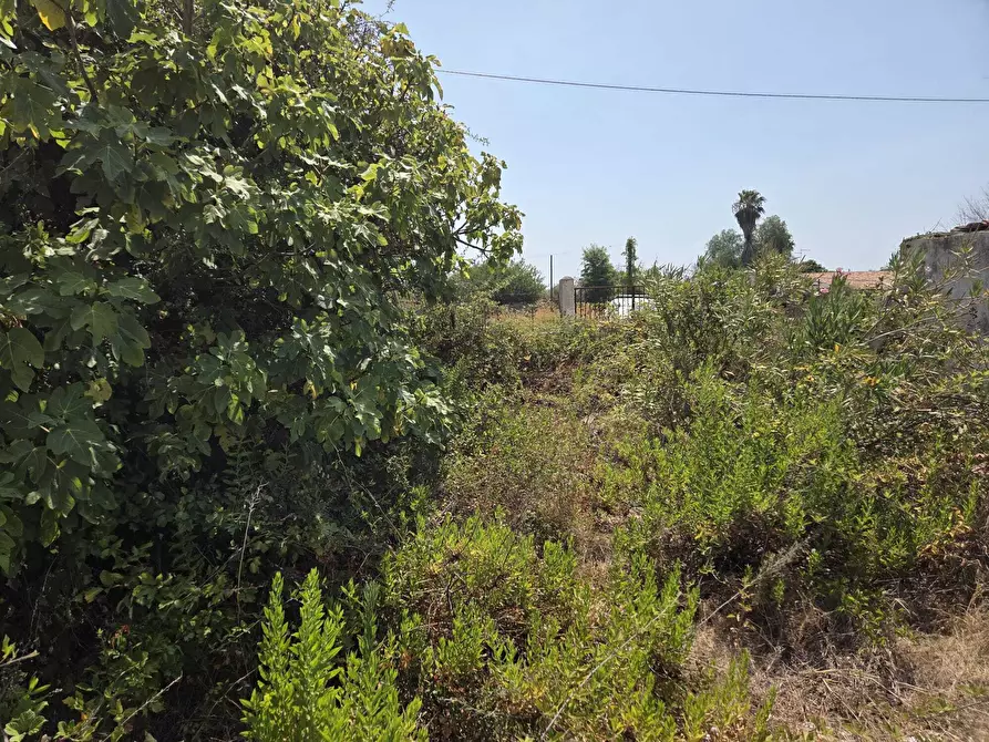 Immagine 7 di Terreno agricolo in vendita  a Siracusa
