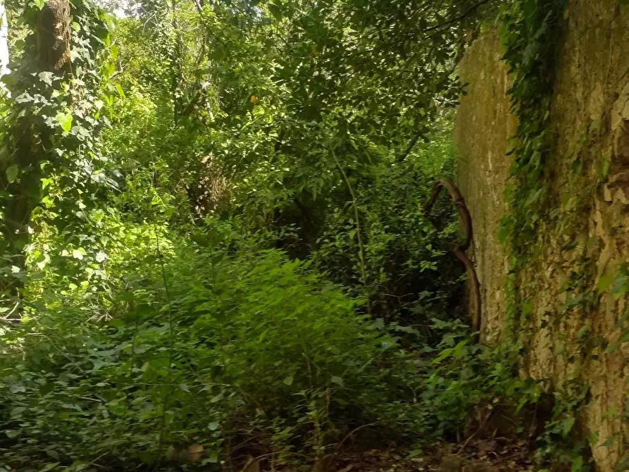 Immagine 15 di Villa in vendita  a Canicattini Bagni