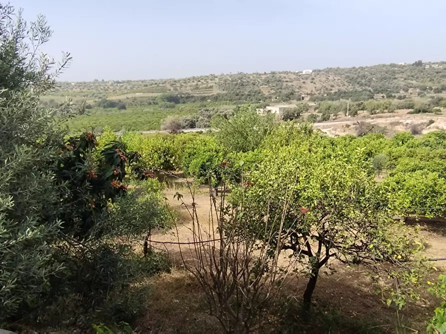 Immagine 1 di Terreno agricolo in vendita  a Siracusa