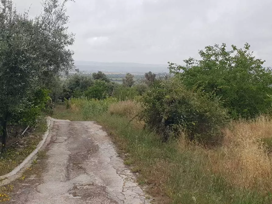 Immagine 2 di Terreno edificabile in vendita  a Siracusa