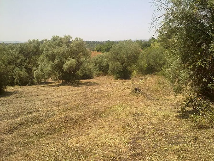 Immagine 5 di Terreno agricolo in vendita  a Siracusa
